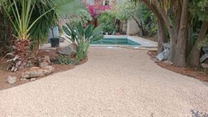 WhatsApp Image 2026-03-22 at 12.34.05 PM